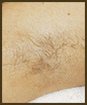 �Ǘ�ʐ^5