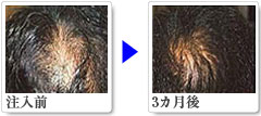 �Ǘ�2