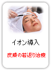イオン導入