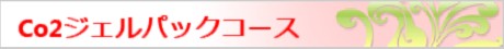 Co2ジェルパックコース