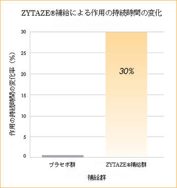 ザイターゼイメージ