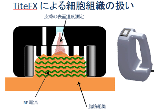 TiteFXによる細胞組織の扱い