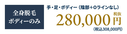 全身脱毛ボディーのみ